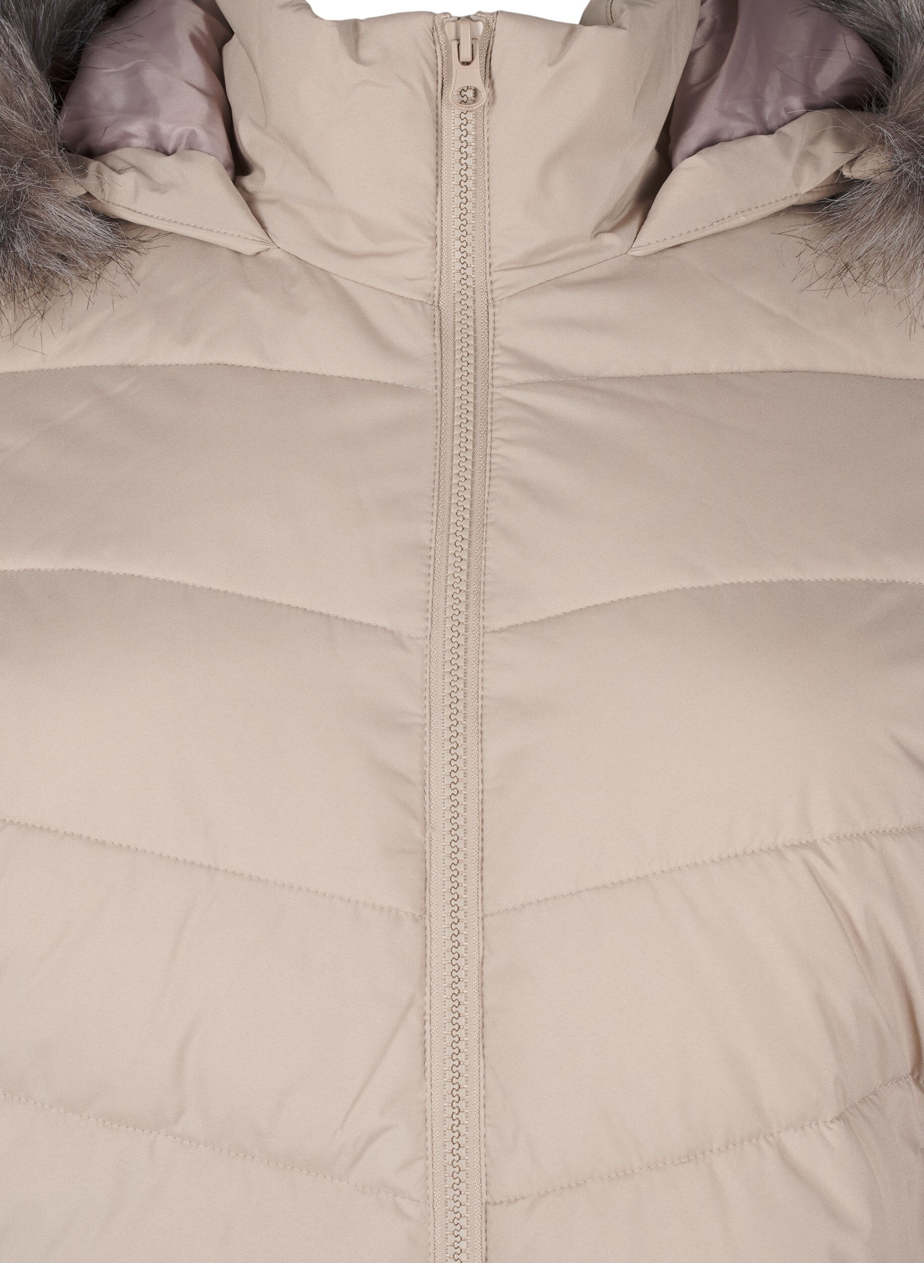 Zizzi Kurze Steppjacke mit Kapuze, Beige, Packshot image number 2