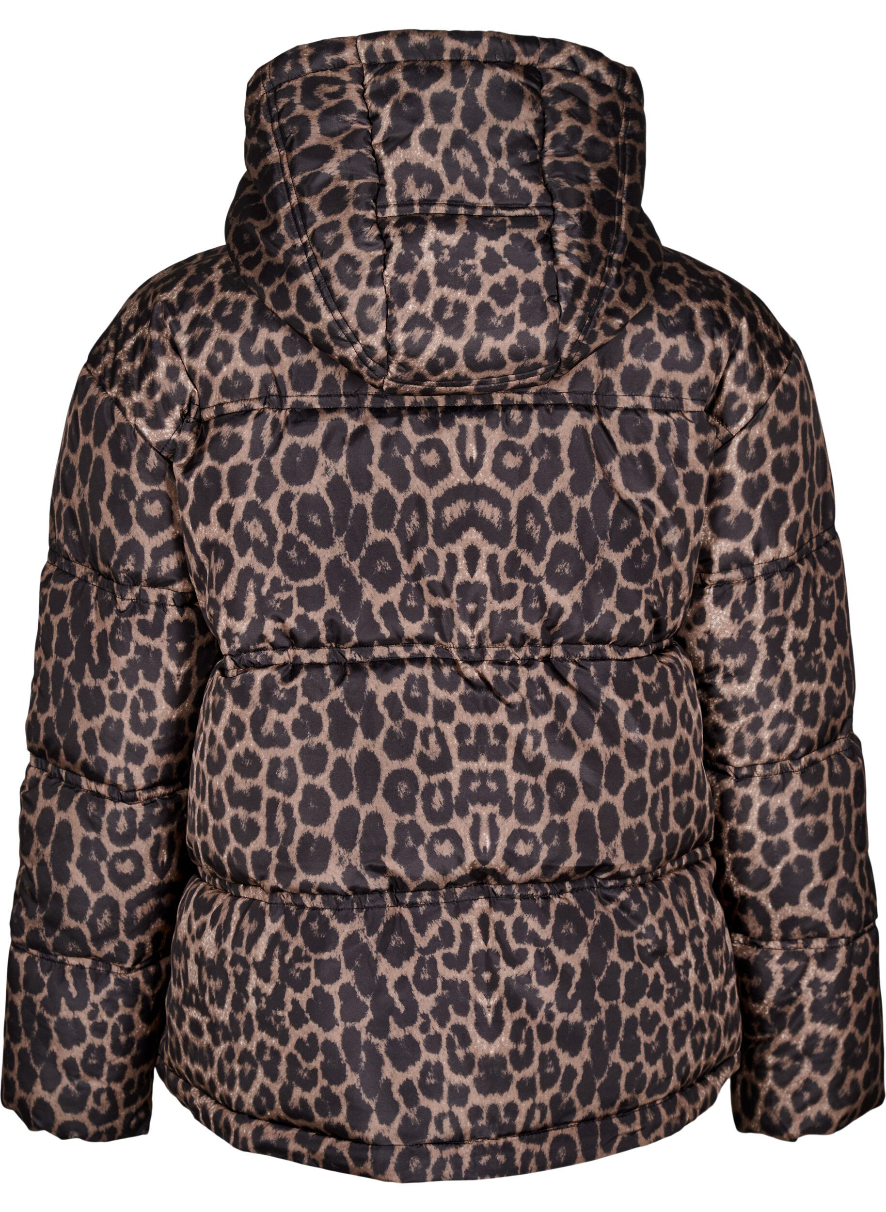 Zizzi Kurze Steppjacke mit Kapuze und Zwei-Wege-Rei&szlig;verschluss, Schwarz, Packshot image number 1