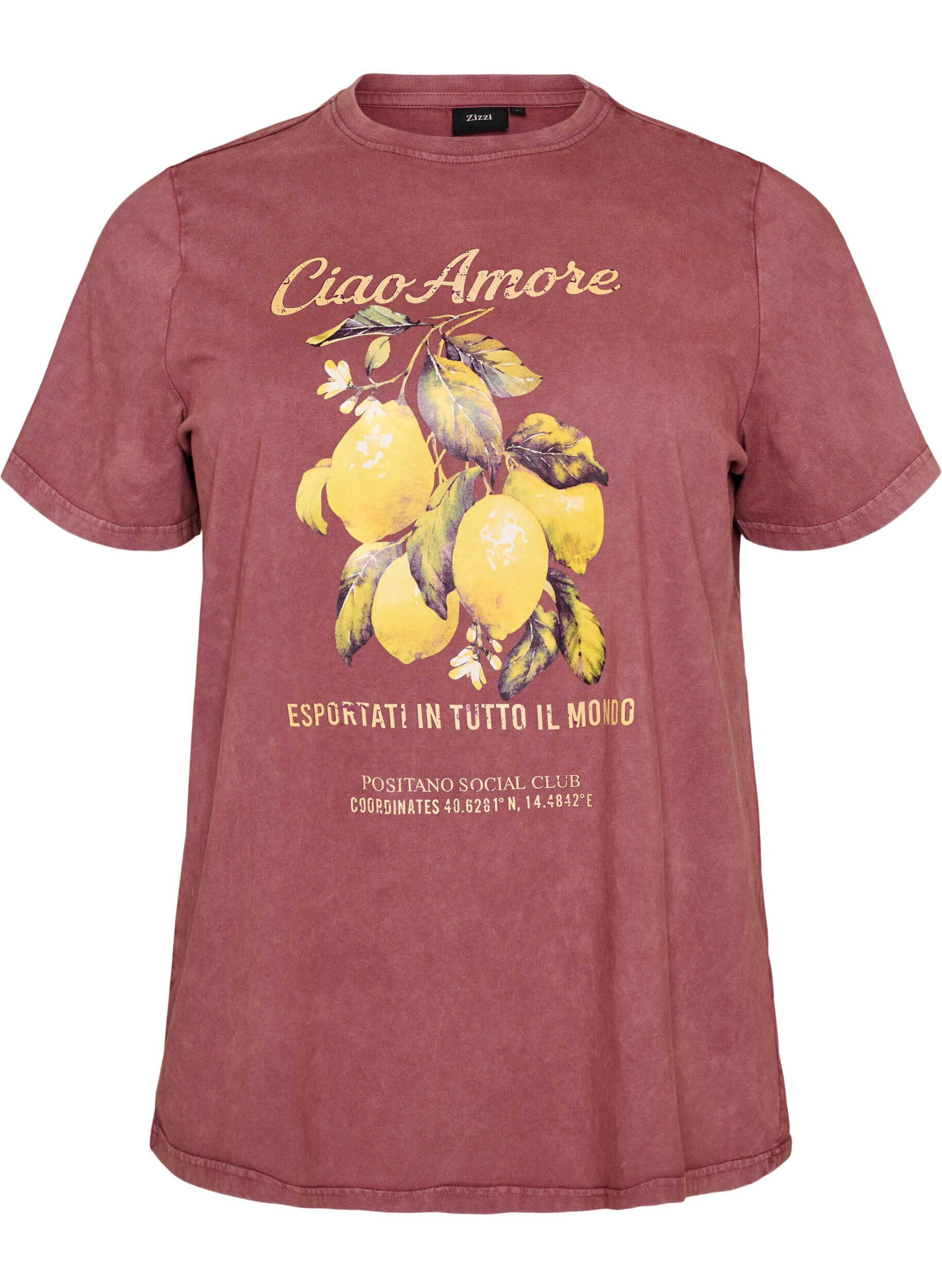 ZizziT-shirt en coton avec imprim&eacute; sur le devant et effet d&eacute;lav&eacute;, Bordeaux, Packshot image number 0