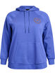 Sweat &agrave; capuche avec motif brod&eacute; devant, Bleu, Packshot image number 0