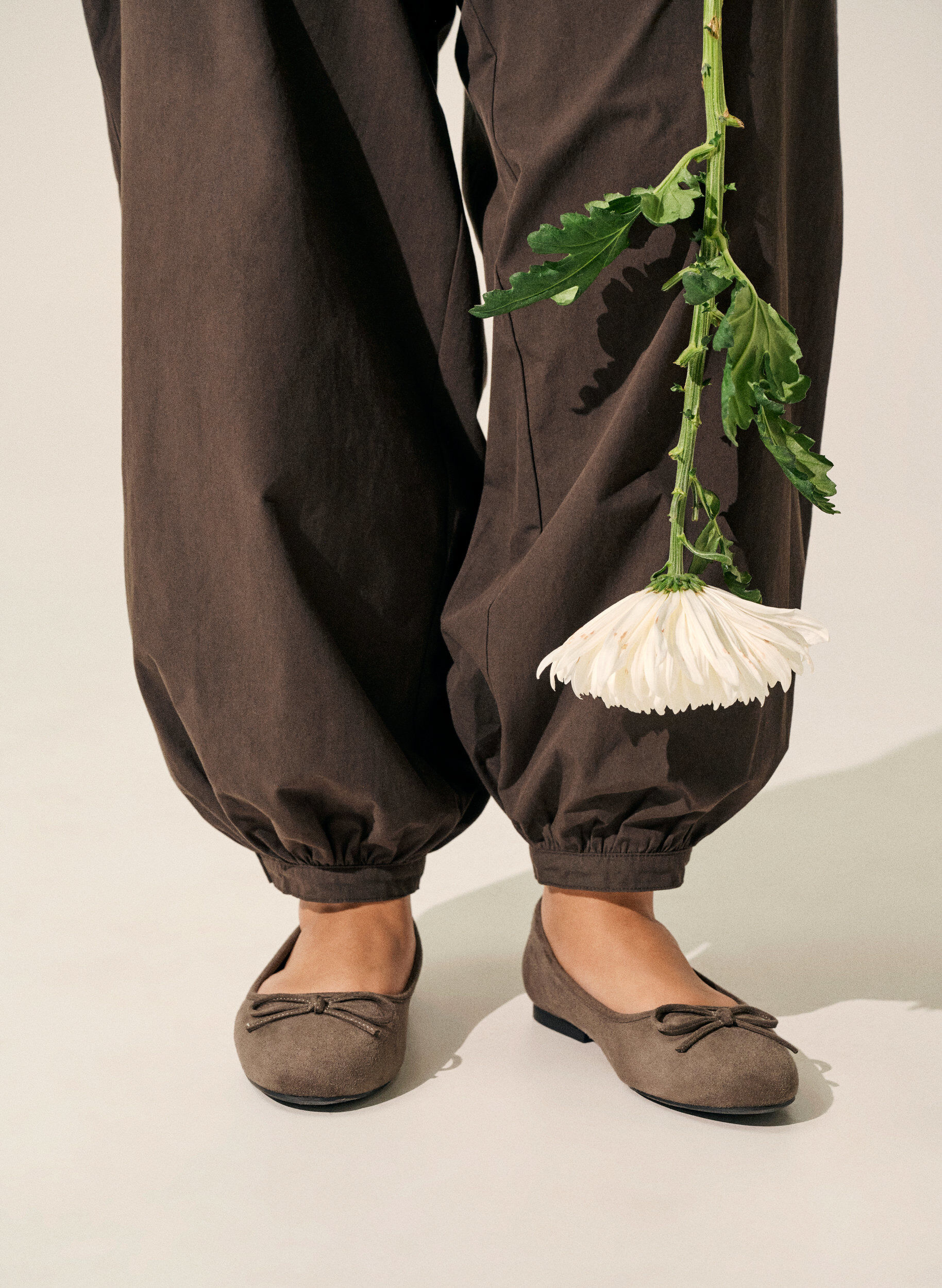 Zizzi Ballerine en su&eacute;dine avec n&oelig;ud, Marron, Image image number 0