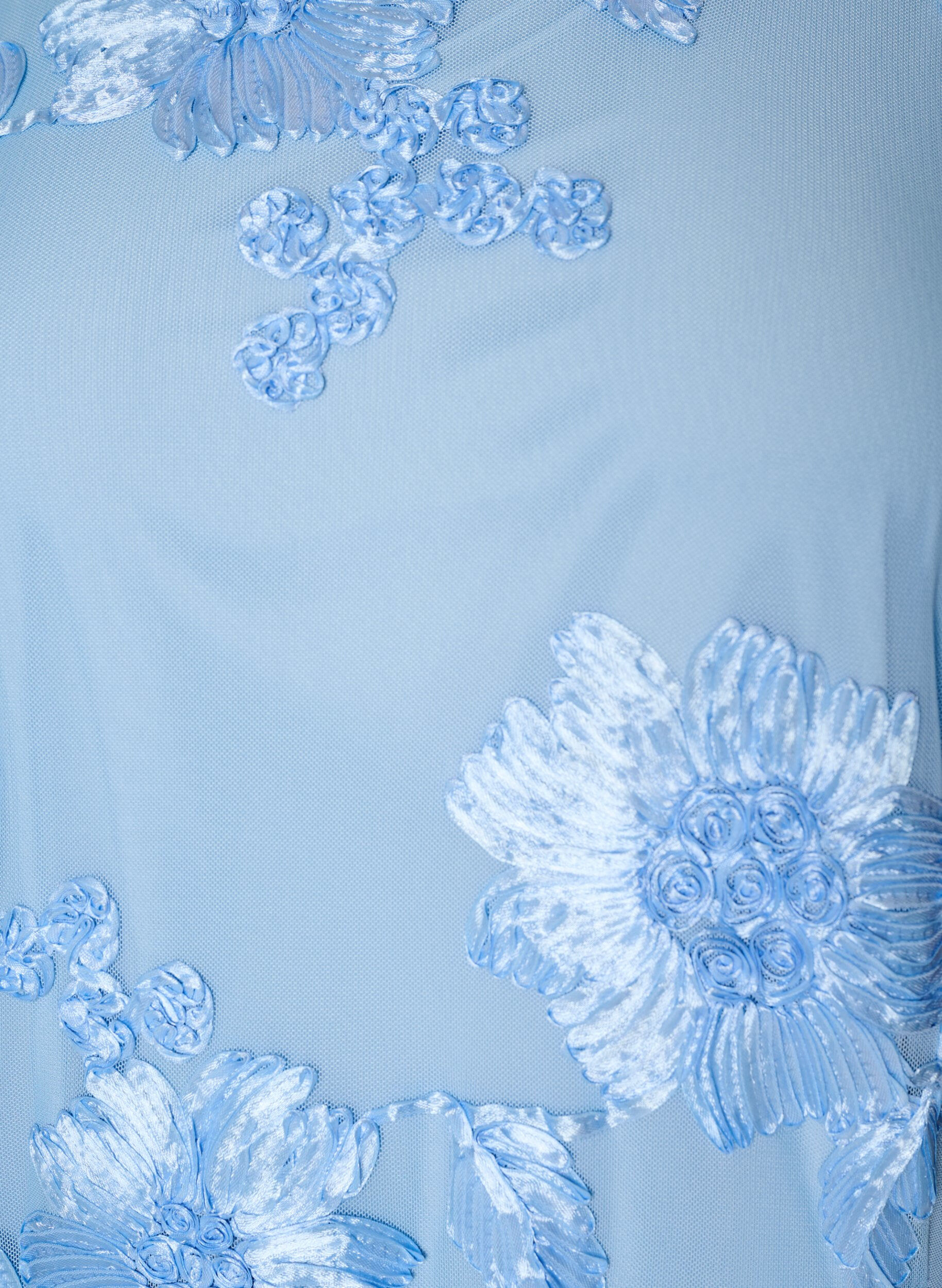ZizziMesh-Kleid mit floralen Applikationen, Blau, Packshot image number 2