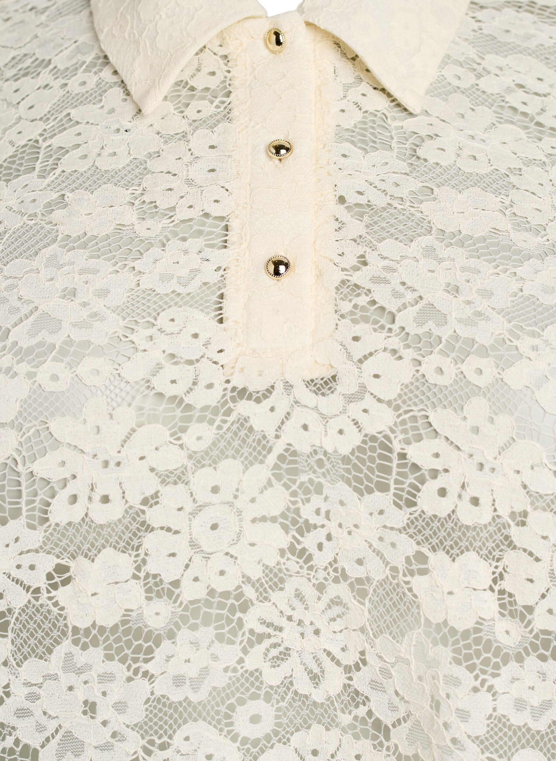 Zizzi Spitzenbluse mit Kragen und 1/2-&Auml;rmeln, Vanille, Packshot image number 2