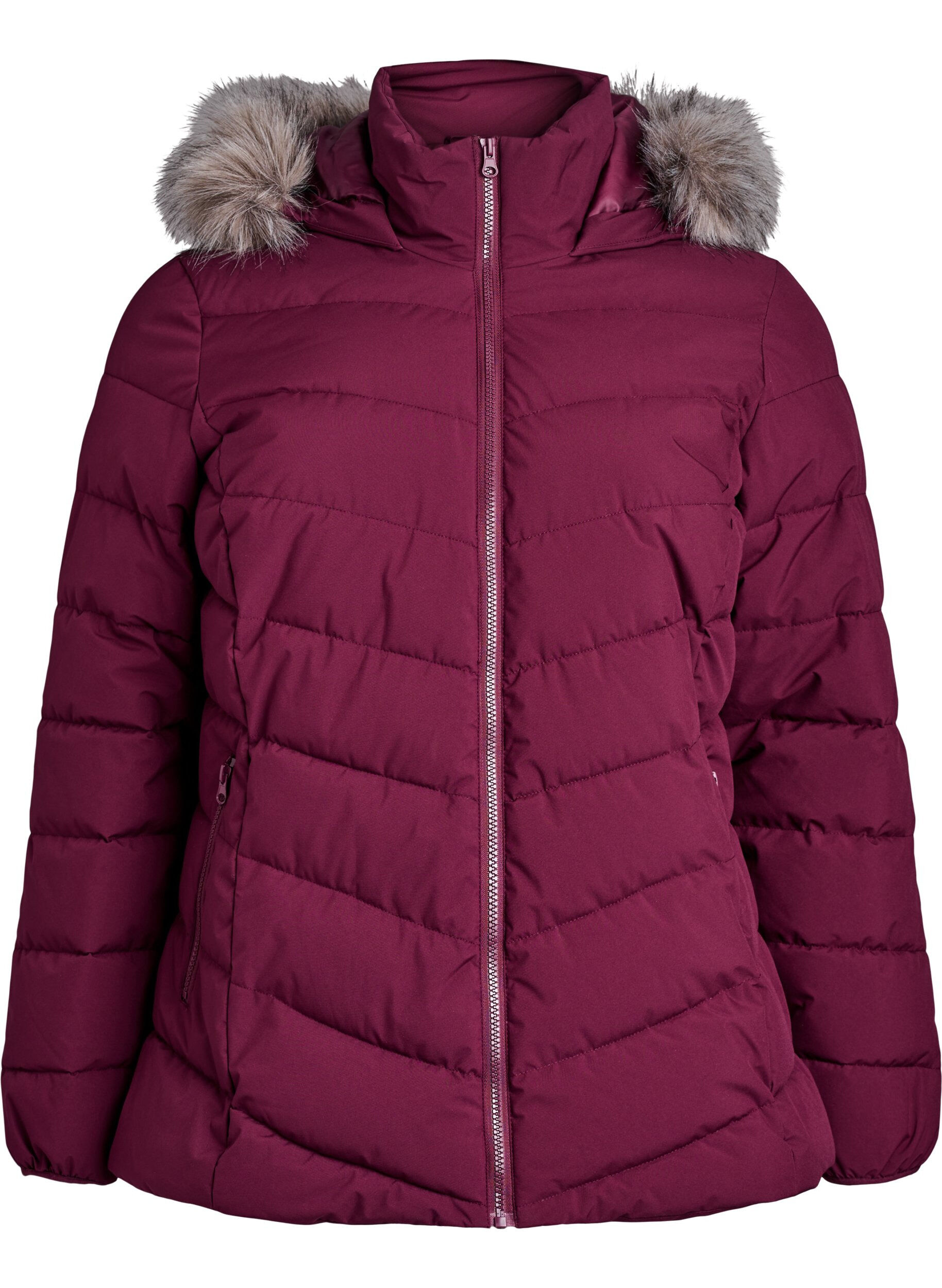 Zizzi Kurze Steppjacke mit Kapuze, Dunkles Bordeaux, Packshot image number 0