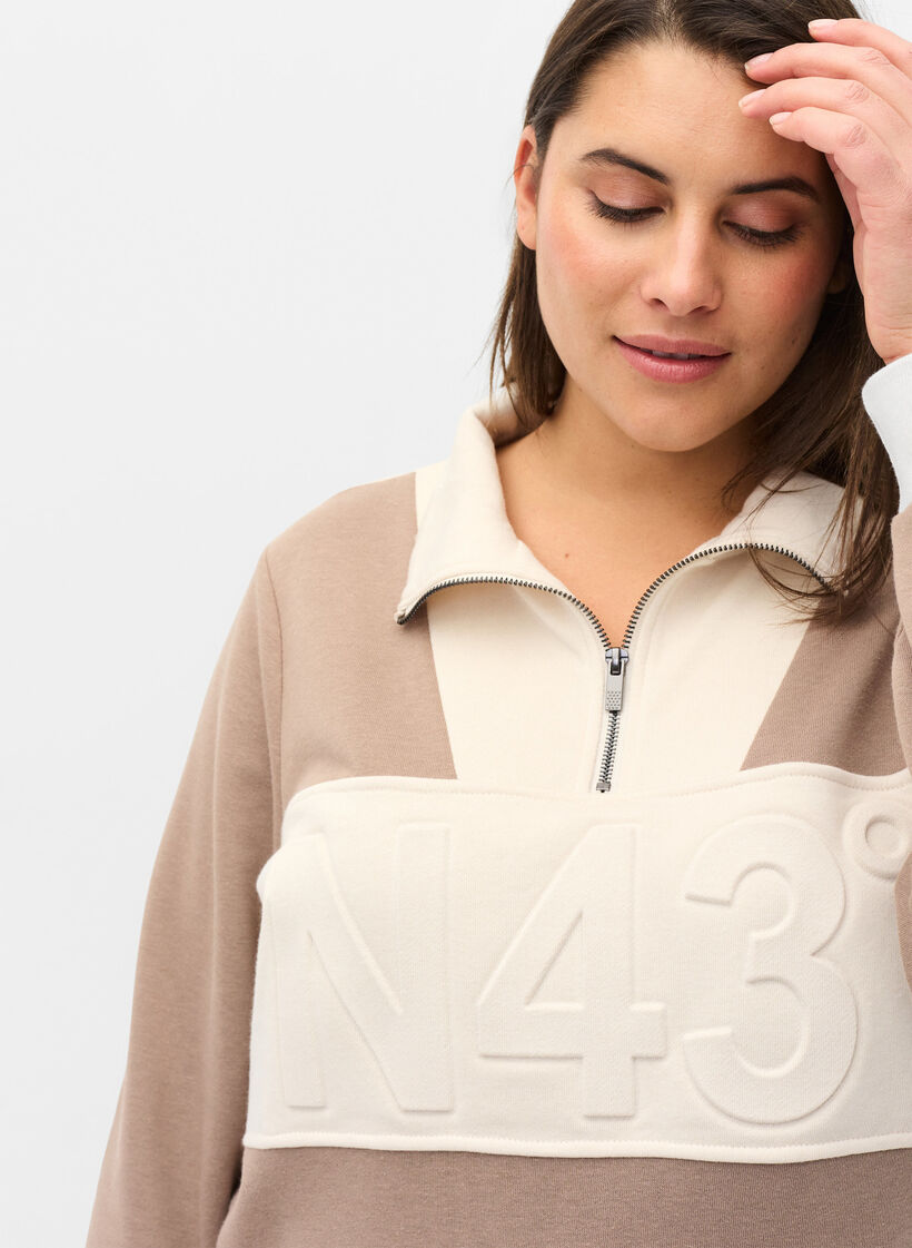 Sweatshirt mit Colour-Block, Timber Wolf/Birch, Model image number 2