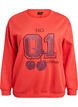 Sweatshirt avec motif &agrave; l'avant, Rouge, Packshot image number 0