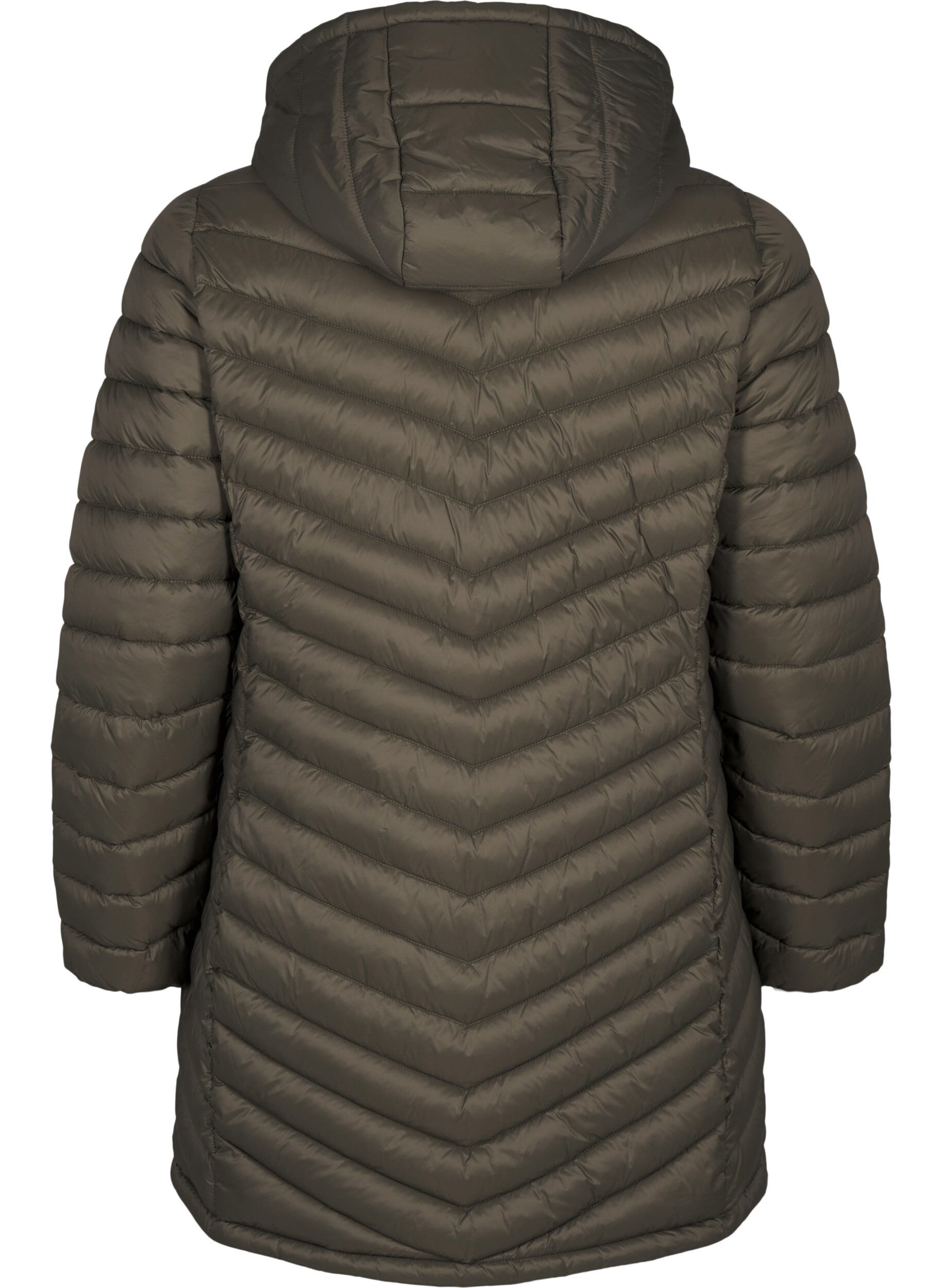 Zizzi Veste l&eacute;g&egrave;re avec des poches et une capuche d&eacute;tachable, Vert, Packshot image number 1