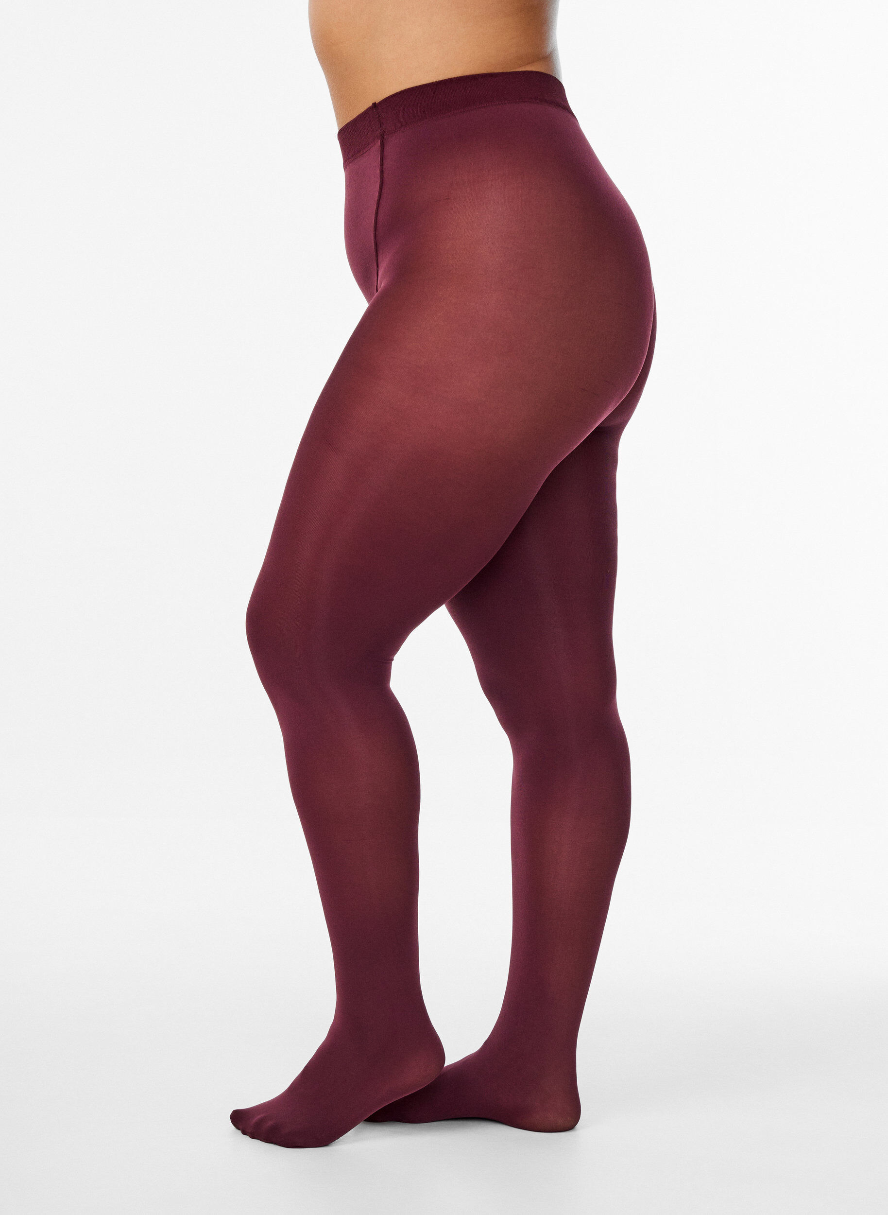 Zizzi Collants 100 deniers, Bordeaux, Model image number 0