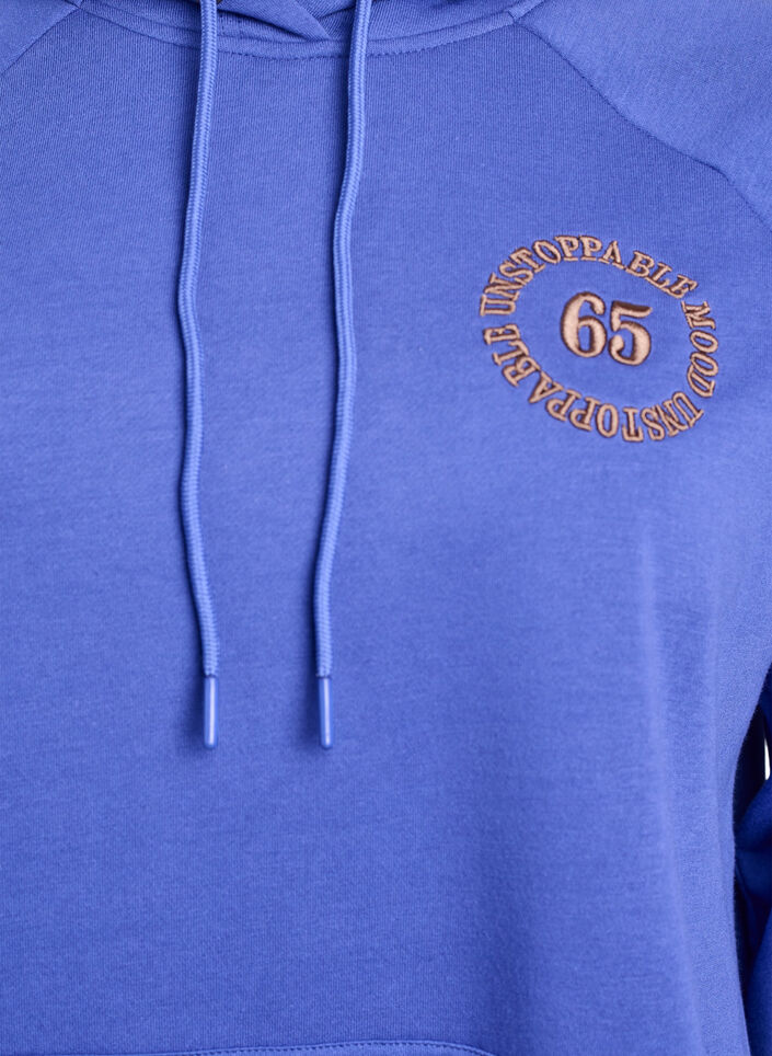 Sweat &agrave; capuche avec motif brod&eacute; devant, Bleu, Packshot image number 2