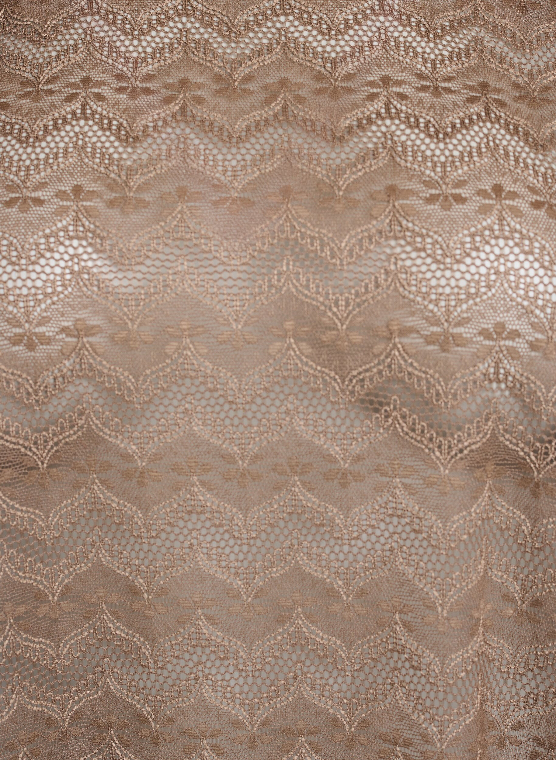 Zizzi Chemisier en dentelle &agrave; manches courtes et ourlet &eacute;chancr&eacute;, Marron, Packshot image number 2