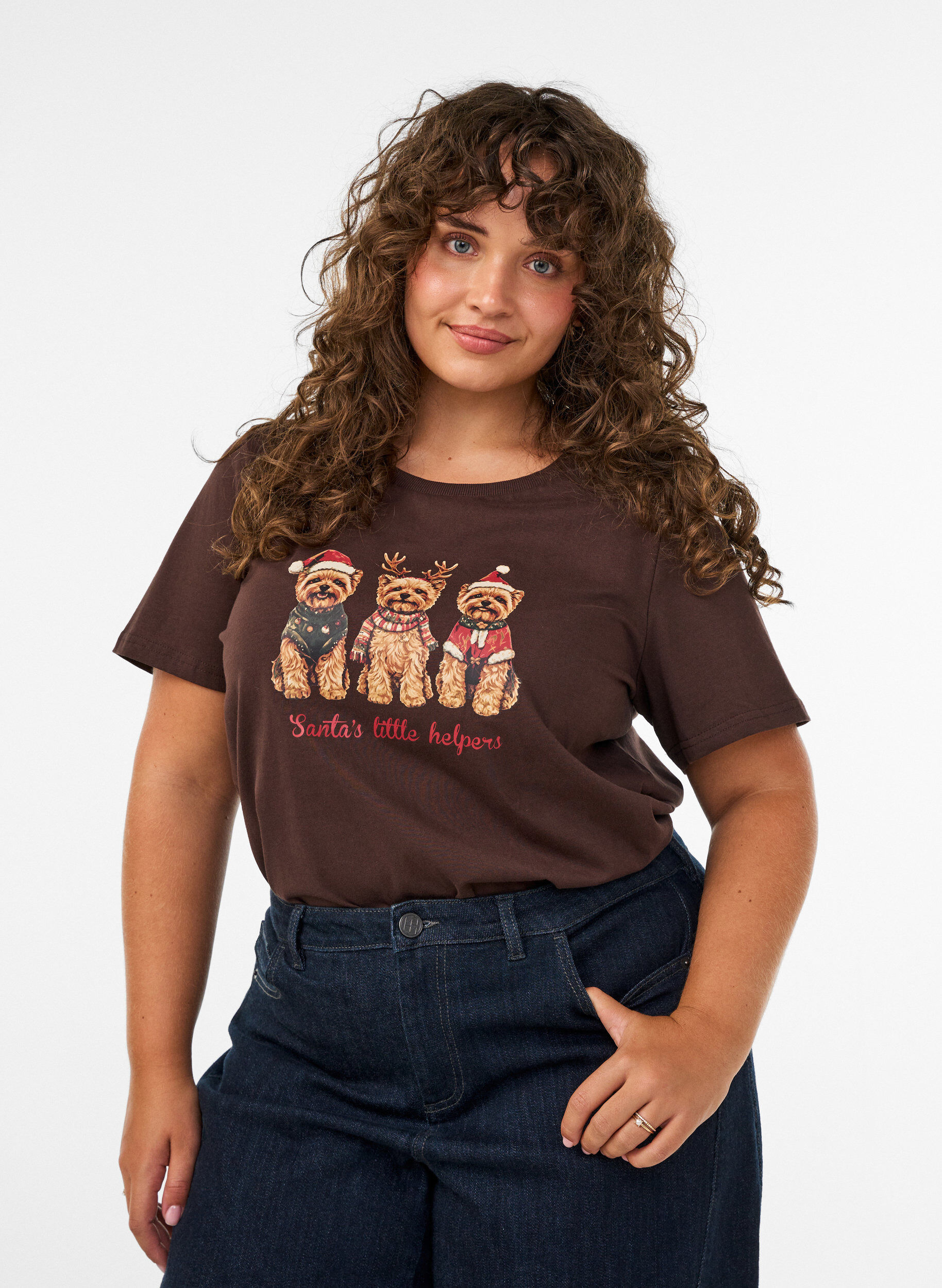 ZizziT-shirt de No&euml;l en coton bio, Marron, Model image number 0
