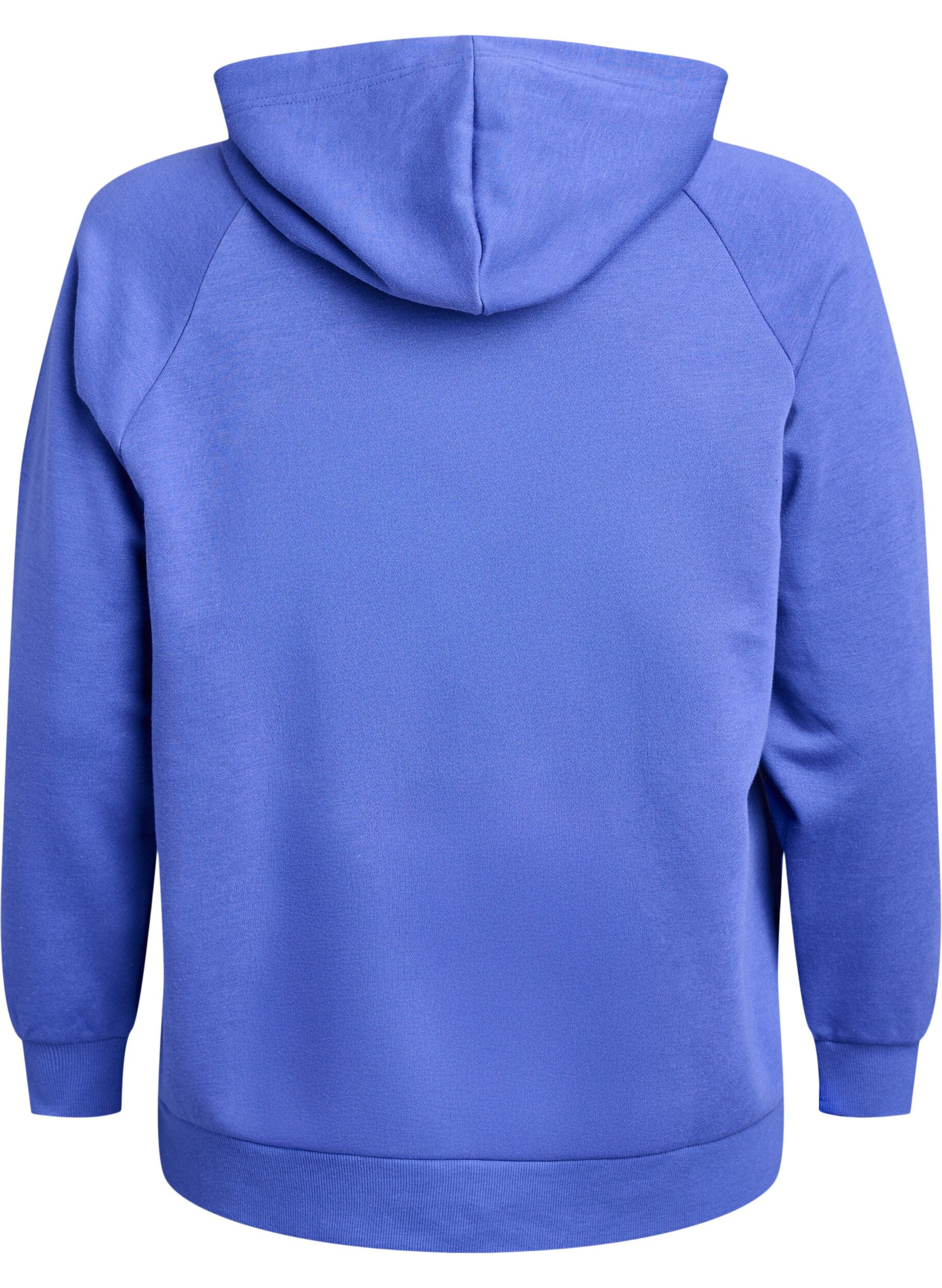 ZizziSweat &agrave; capuche avec motif brod&eacute; devant, Bleu, Packshot image number 1